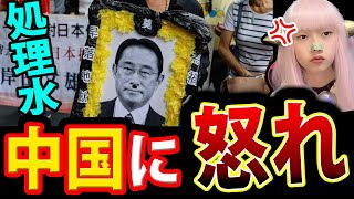 処理水 放出 で 中国 猛反発 ! 水産物輸入停止 に 岸田総理 即時撤廃要求【汚染水 輸入全面禁止 ALPS処理水】