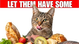 12 human foods that are actually good for cats