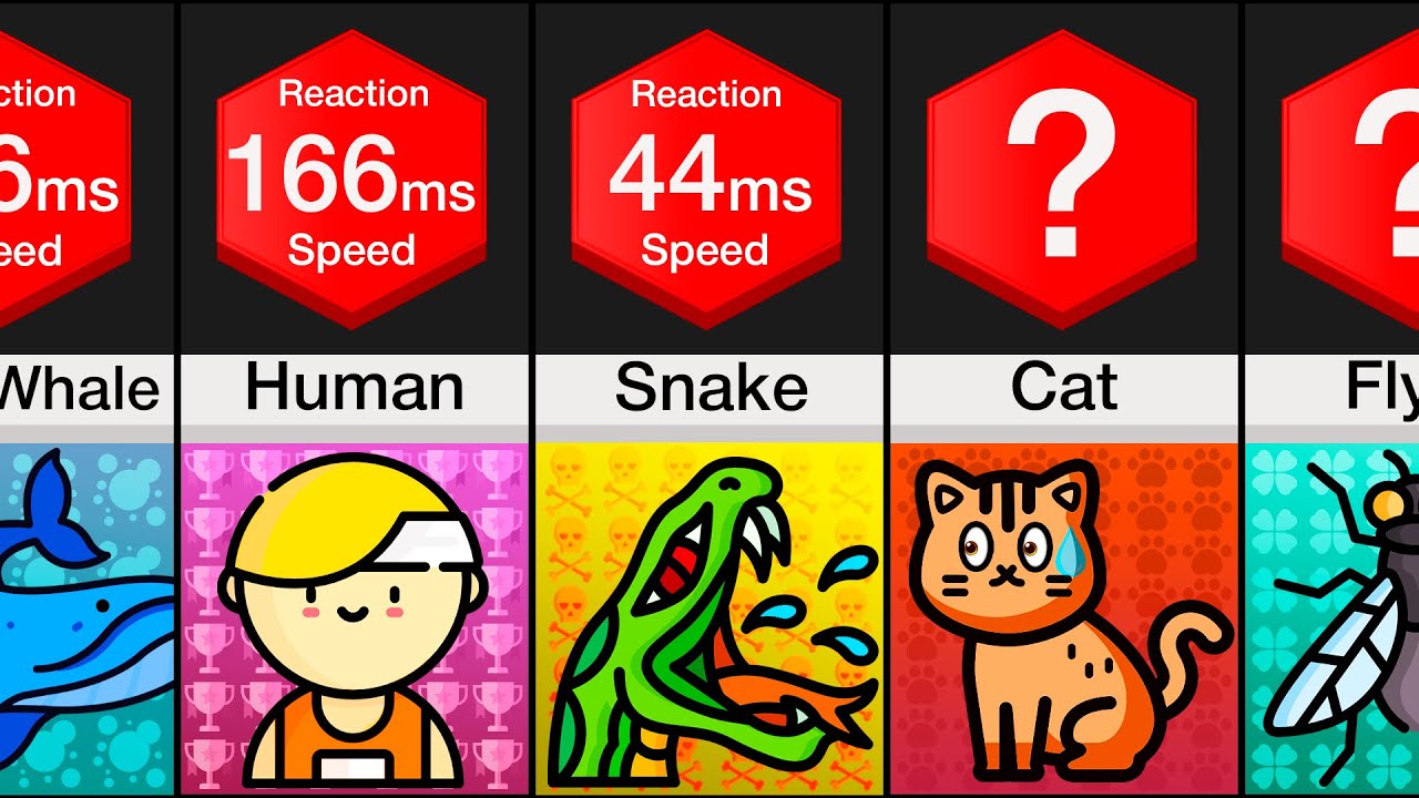 Speed Reaction Test. Human speed