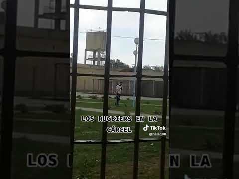 Presos de Melchor Romero filmaron a los rugbiers cortando el pasto en la cárcel