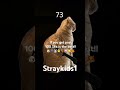 If you get past 100 skz is the best!!❤️❤️🐷🦊🐱🐿️🐰🐥🐺🐶#viral #straykids #skz #fypシ #@StrayKids