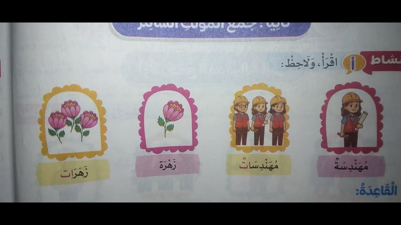 القراءة المتحررة والاساليب والتراكيب أنواع الجمع ص٤١،٤٠،٣٩،٣٨،٣٧،٣٦،٣٥ للصف الثالث ترم ثاني عربى 