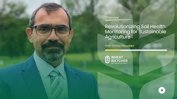 WHEATWATCHER - the vision behind the project