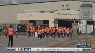 Workers protest again, amid ongoing UFW, Wonderful Nurseries and farm workers dispute