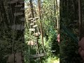 Treetop rope crossing at Go Ape Haldon Forest #devon #goape #exeter #treetopadventure