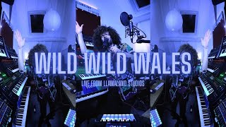 Youngr - Wild Wild Wales (Live From Llamaland Studios)