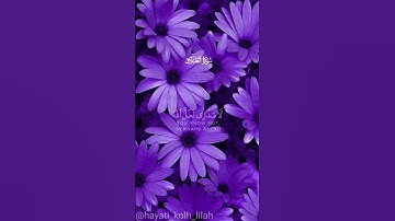 سورة الطلاق   فَقَدْ ظَلَمَ نَفْسَهُ لَا تَدْرِي لَعَلَّ اللَّهَ يُحْدِثُ بَعْدَ ذَلِكَ أَمْرًا (1)