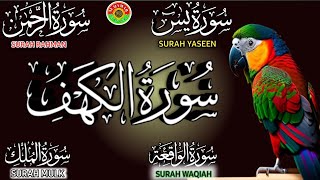 Ep 229 Surah kahf 🕋 Surah Yaseen 🕋 Surah Rahman 🕋 Surah Waqiah 🕋 Surah Mulk 🕋 @IQRAALQURANKARIM