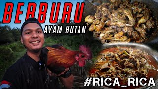 PEDAS GURIH‼️RICA RICA AYAM HUTAN‼️BERBURU AYAM HUTAN DAN RUAK RUAK MASAK RICA RICA LANGSUNG MUKBANG