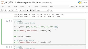Delete a specific List index in Python