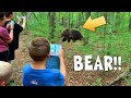 Black Bear with Cubs Encounter in Tennessee!!!