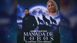 JOSE CASTRO - MANADA DE LOBOS 