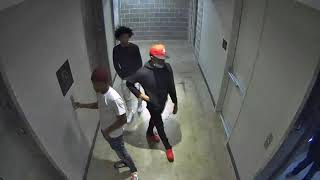 Surveillance video of wanted suspects in homicide at 2850 Fannin Street