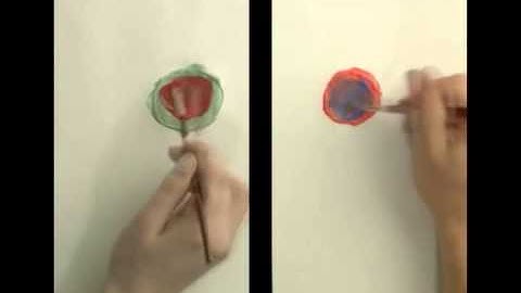 Diffie Hellman Key Exchange by khan academy