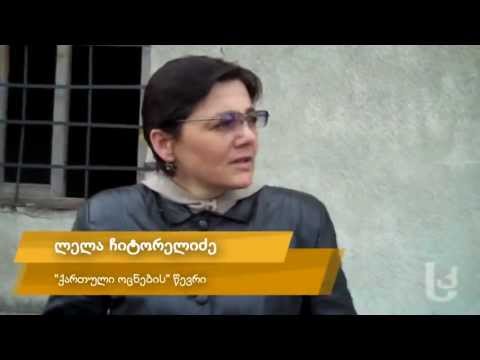 ლელა ჩიტორელიძე: რას გეგმავდა \"ოცნება\" [Video]