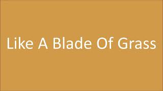 Jack Harlow - Like A Blade Of Grass [Lyrics]