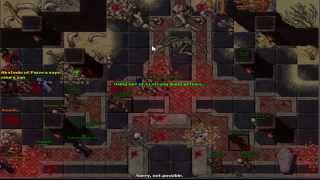 Medusa Shield  Quest Tibia