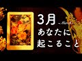 3月あなたに起こること🌟怖いほど当たる🌷💭💭恋愛・仕事・人間関係🌟タロット占い&オラクルカードリーディング🔮