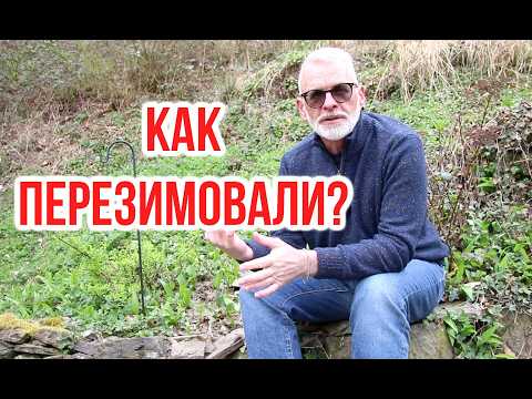 Vidéo YouTube