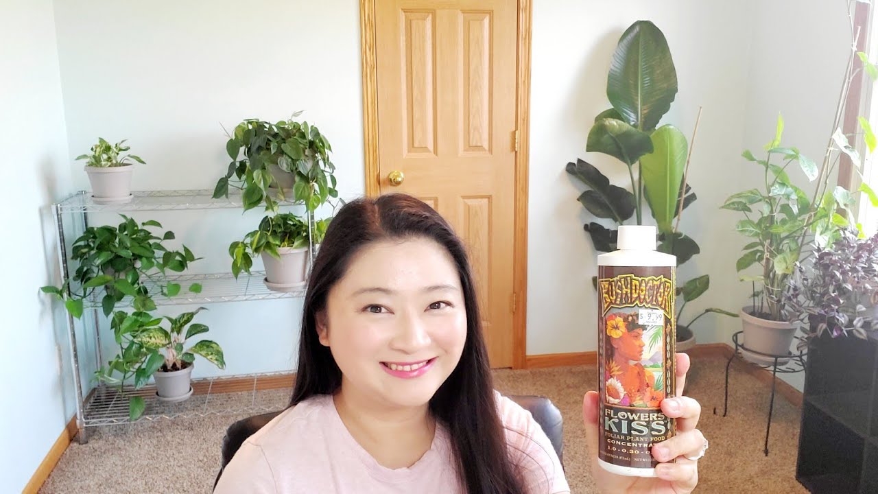 Fox Farm Bushdoctor Flowers Kiss Foliar Spray Review Not Sponsored