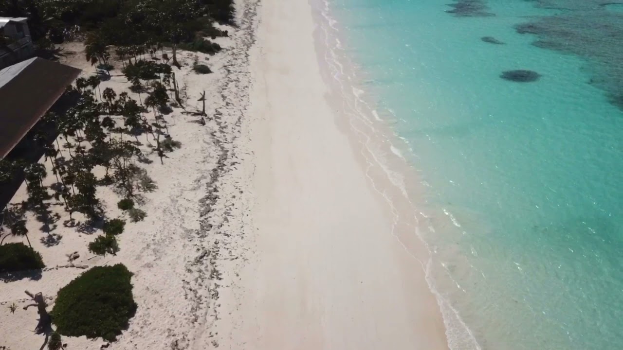 Barracuda bar beach day YouTube