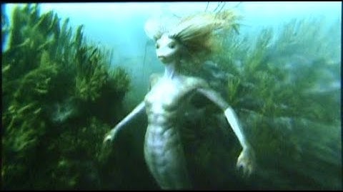 Harry Potter - Behind the Scenes