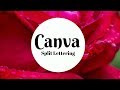 Canva Training - Split Lettering, How to split letters in a design. #Canva Training