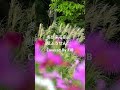 冬が来る前に　/紙ふうせん　【カバー】　FJB #cover