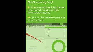 Website Audit Using Screaming Frog |SEO Tool |SEO Audit | Website  Audit | DigitalJuhi