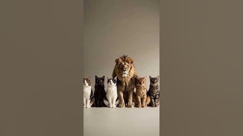 A Lion Among Cats: Surreal Calm in Perfect Lineup | AI-Generated Short #AI