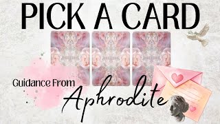 PICK A CARD 🔮 Guidance From Aphrodite 🕊️🌹🍓🍯🐚