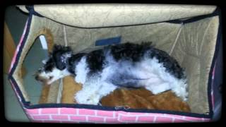 Eat Sleep Created With Magisto