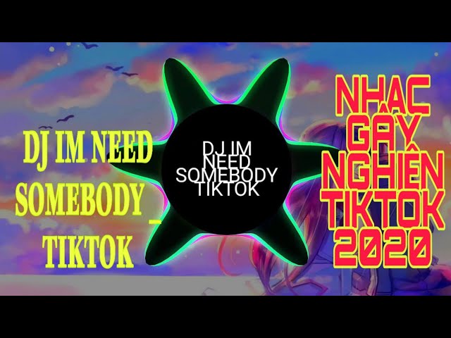 DJ Im Need Somebody || Nhạc Hót TikTok 2020 class=
