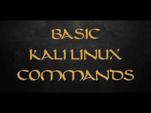 Kali Linux Basic Commands Part 1 - YouTube