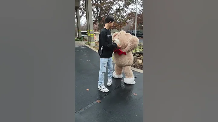 teddy bear attack on Halloween