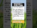 【暴露】「給食費が実は…」アレルギーの息子のために毎日お弁当を作った母。夫には絶対に言えない『ヤバすぎる秘密』に爆笑ｗｗ #育児あるある #へそくり