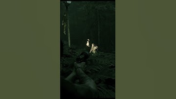 Stealth Kills Against Scars | The Last of Us Part II | Stealth |  #tlou2 #gaming