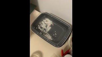 Handcrafted Puppet Head | Practical Effects & Animation Research | Alex Boya