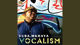 Video thumbnail of "Vusa Mkhaya - Sohlangana khona (We Will Meet There)"