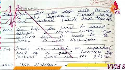 2021 22 CLASS 4 SUBJECT   EVS CHAP 6 PLANT LIFE QUES AND ANS