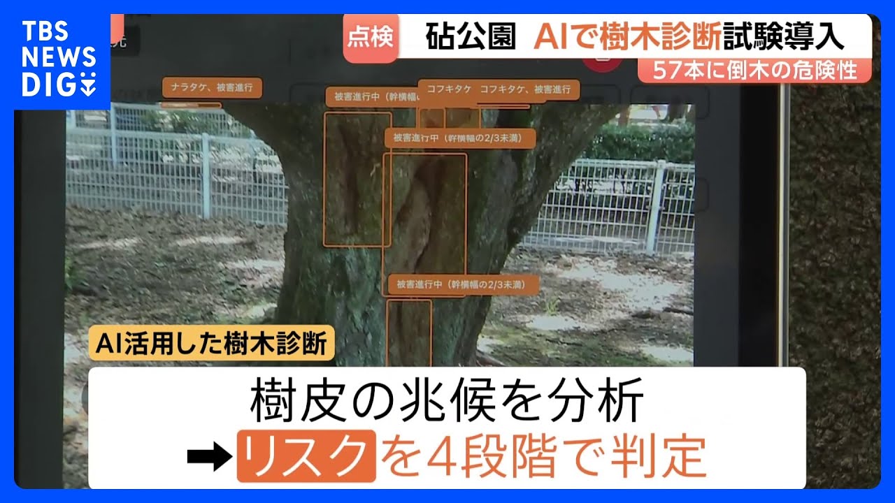 Restrictions on entry also in place AI-powered tree diagnosis