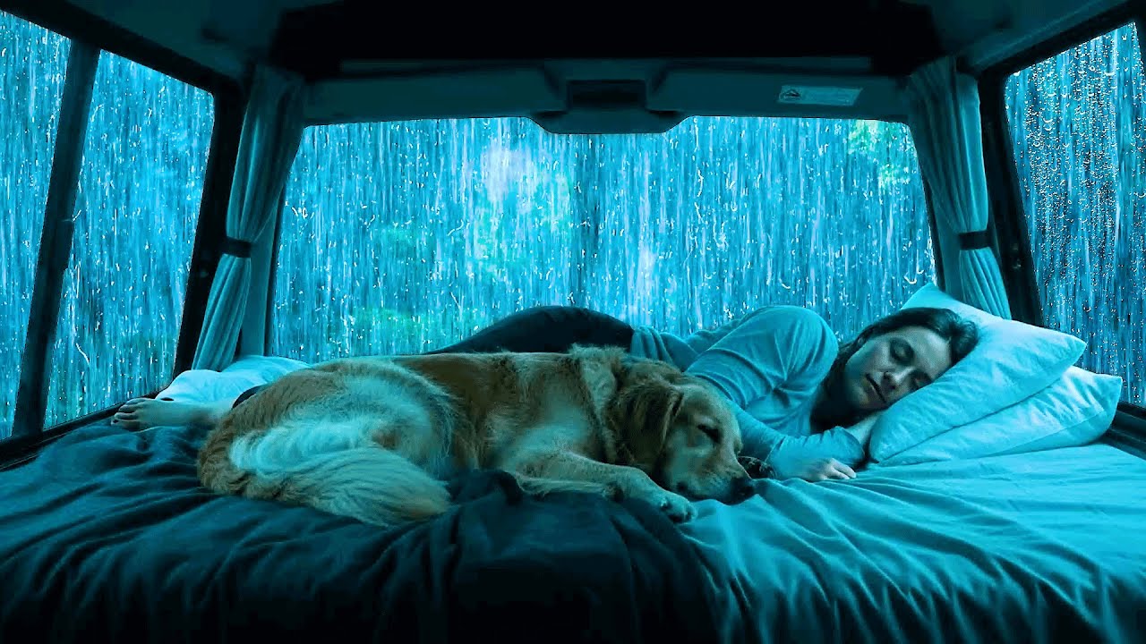 Rain Sounds for Sleeping 🌧️ Cozy Car Rain & Soft Thunder Help Relaxation, Deep Sleep & Inner Peace