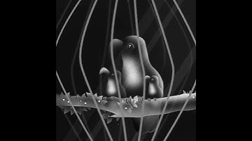 2D animation - Back To The Toucans