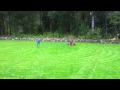 Homemade lawn mower robot