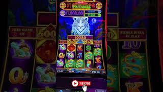🔥 BIG WIN ON JEWEL OF THE DRAGON WITH MINOR JACKPOT IN THE FREE GAMES 🚨