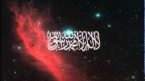 محمد حسين عامر   سورة التغابن