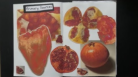 Portfolio submission notebook 2