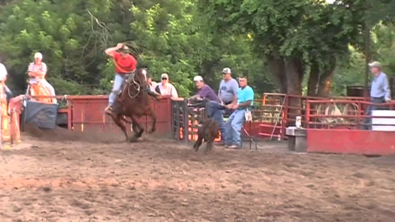 Roan Gelding in Training at TN Roping Horses Video 2 YouTube