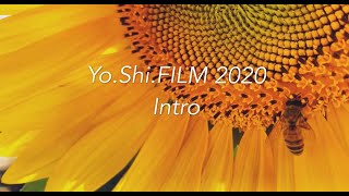 -INTRO 1- Welcome to this Channel!! | Sunflower Field | Summer 2020 | Chicago