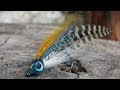 Bait minnow streamer fly tying instruction by Ruben Martin